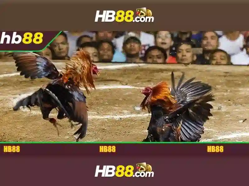 Ưu Điểm Tải App HB88