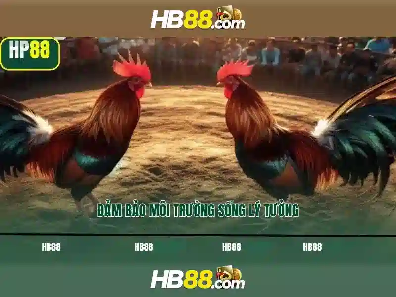 Khám Phá HB88 Casino