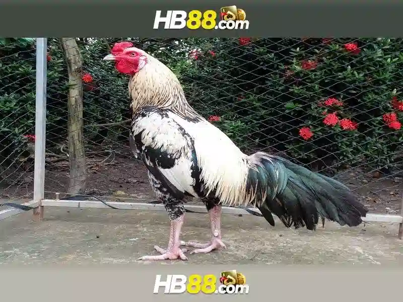 Hệ Thống Ưu Đãi