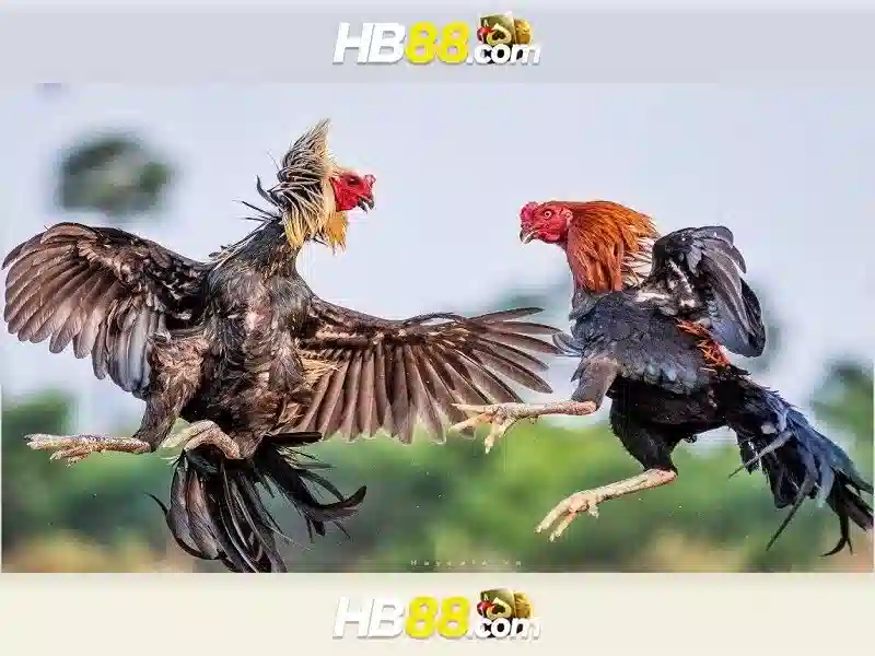 h3 ưu đãi hb88 slot