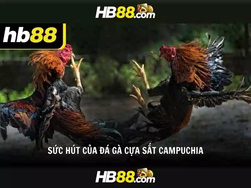 Quy Trình Đăng Ký