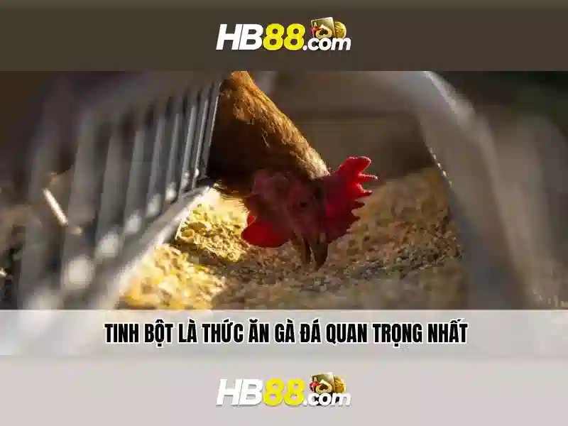 Ưu Đãi HB88