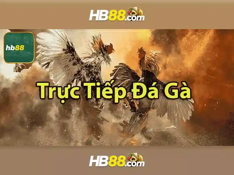 HB88 - Trải Nghiệm Cá Cược Slot Đa Dạng, Ưu Đãi Khủng 2026