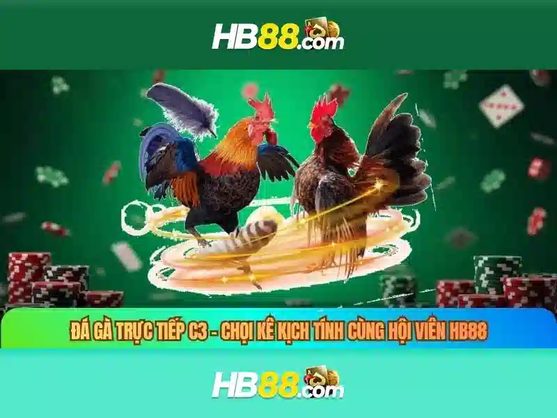 Trải Nghiệm Cá Cược Đỉnh Cao Với HB88