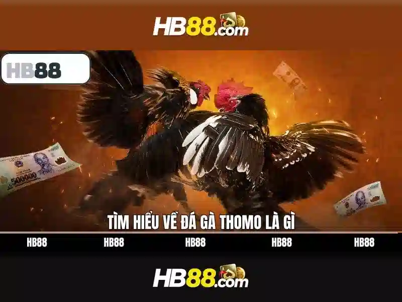 Khuyến mãi hb88