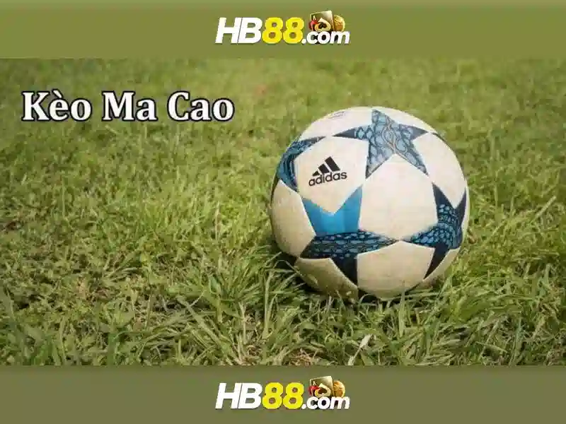Lợi Ích Tải HB88
