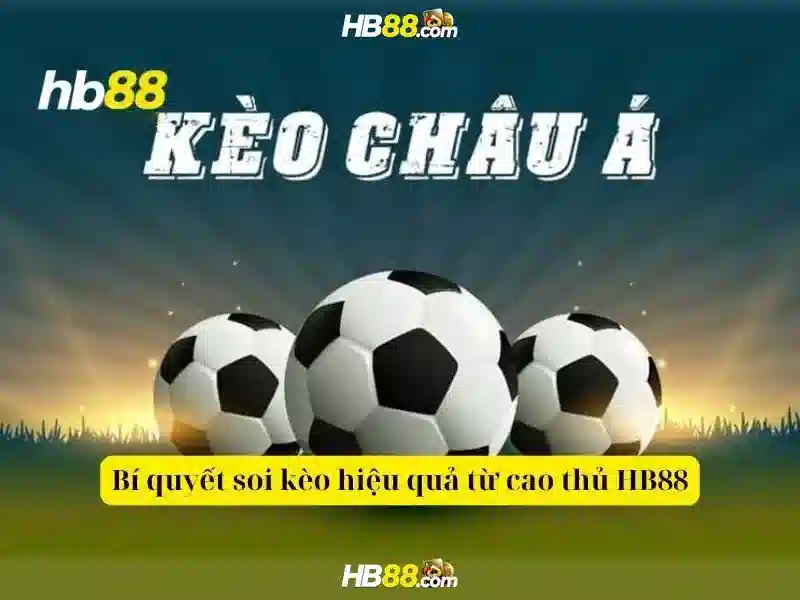 Chính Sách Khuyến Mãi