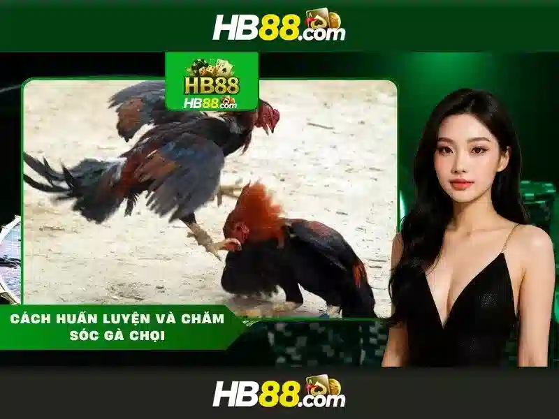 Trải nghiệm cá cược trực tuyến an toàn
