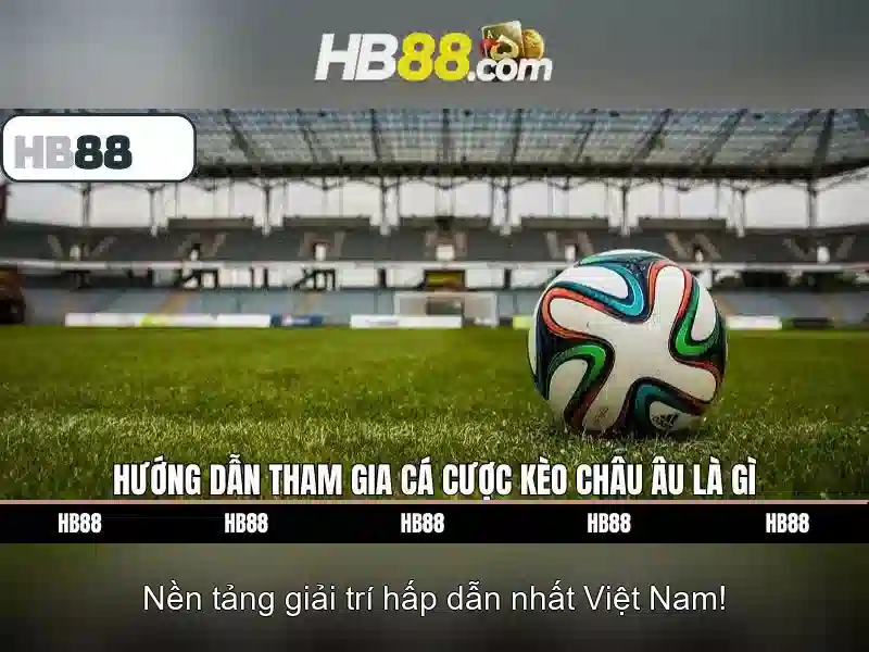 Điều Khoản Và Điều Kiện