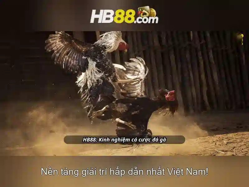 HB88 - Trang Chủ Uy Tín Số 1 Cho Người Chơi SLOT