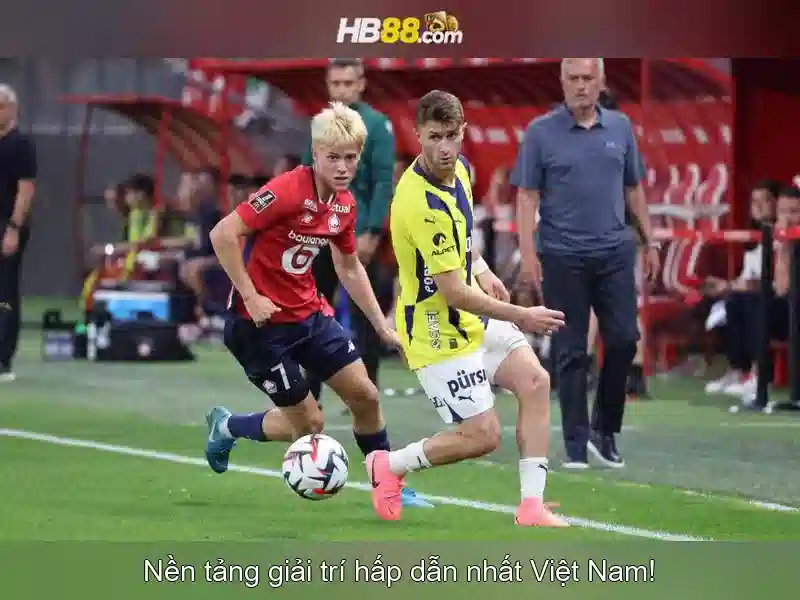 Ưu Đãi Độc Quyền Tại HB88