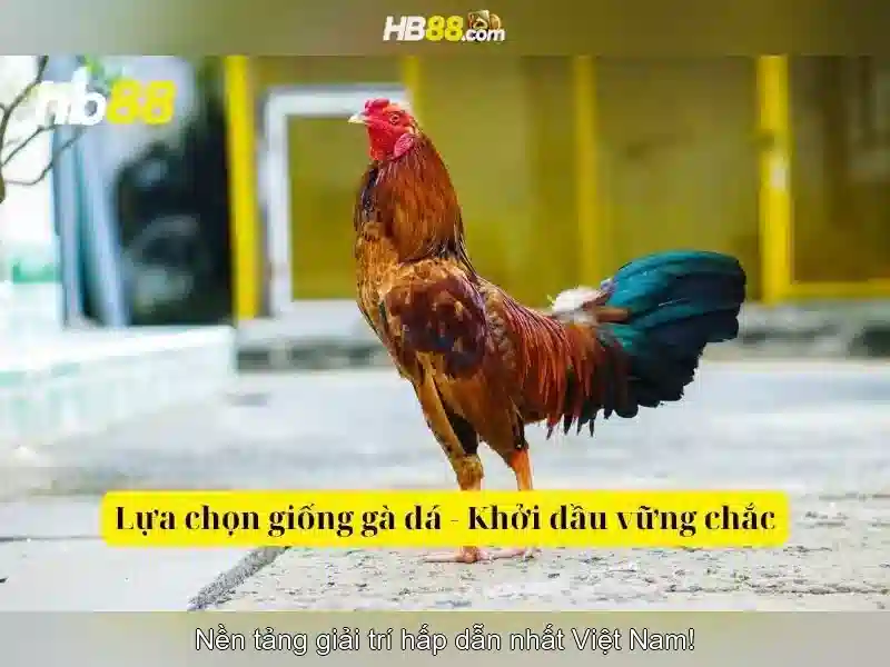 Ưu Đãi Slot