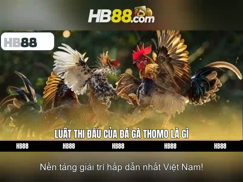 Ưu Đãi Slot Cao Cấp