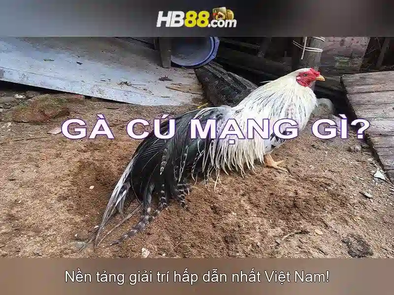 Game Bài 3D