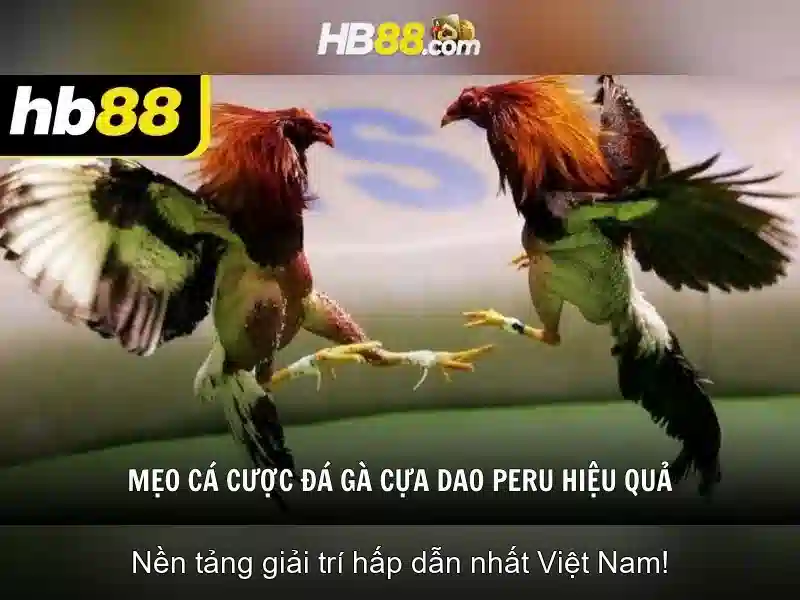 Đặc Điểm Nổi Bật