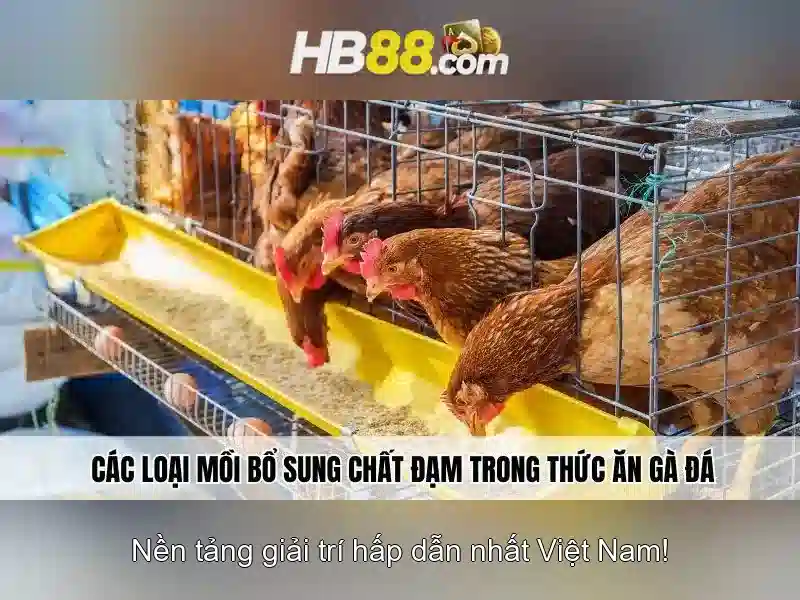 HB88 hiện đang mở
