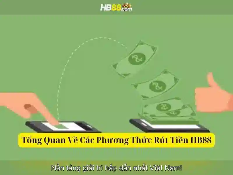 Đặc Điểm Nổi Bật