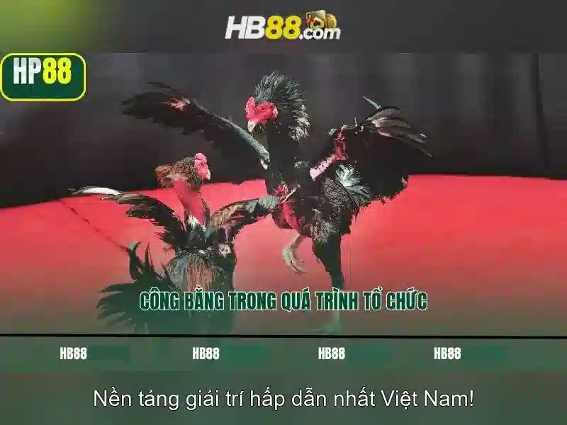 Dịch vụ trực tuyến HB88