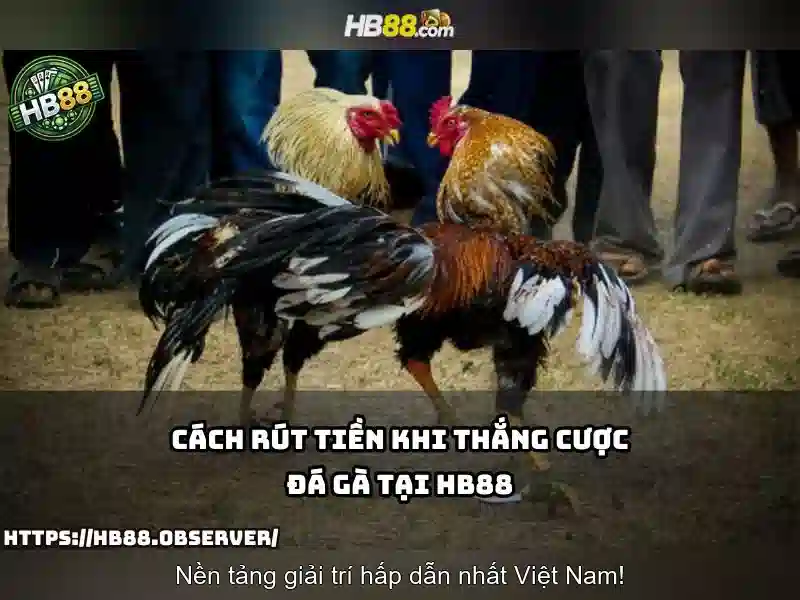 hướng dẫn đăng nhập hb88