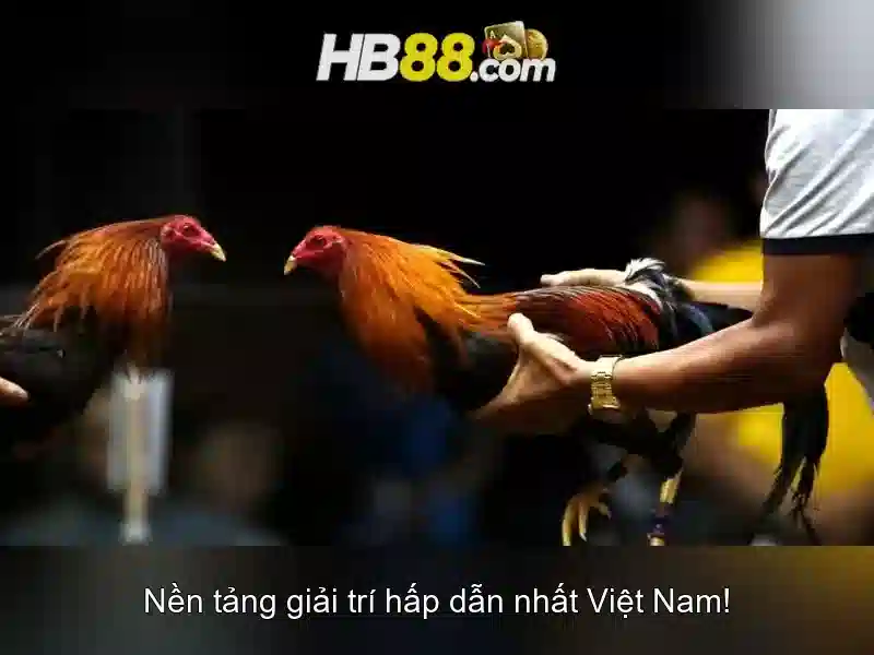 Casino tại HB88 hiện đang mở
