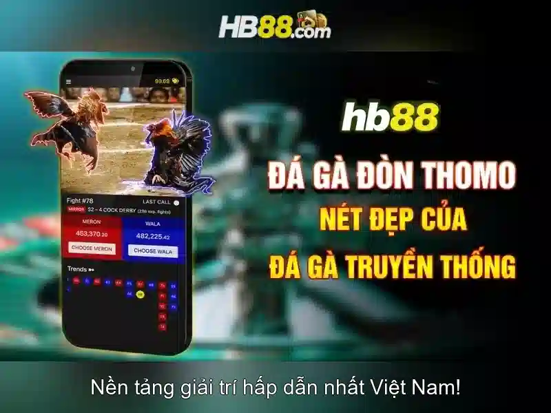 kiểm tra hoạt động tài khoản