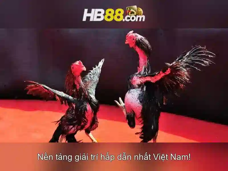 Hướng Dẫn Tải App
